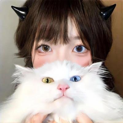 神烦警探第八季